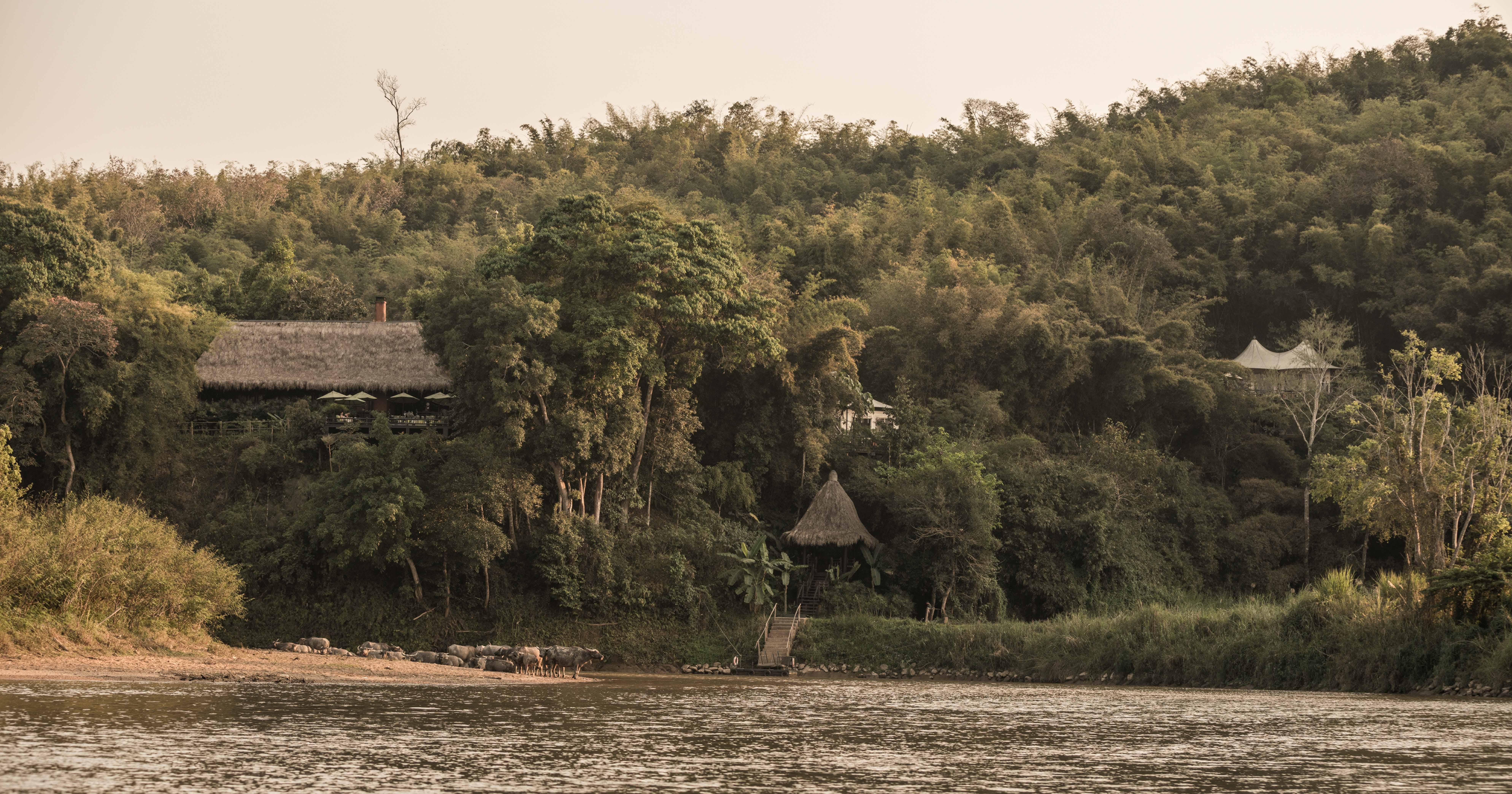 Four Seasons Tented Camp Det gylne triangel Eksteriør bilde